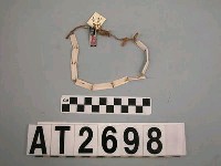 藏品(貝片頸飾)的圖片